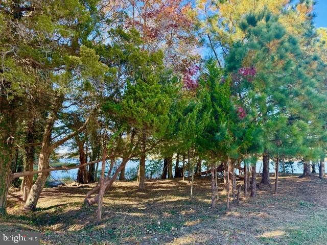 Property Photo: 11429 Maid At Arms Lane Lot 89 MD 21811