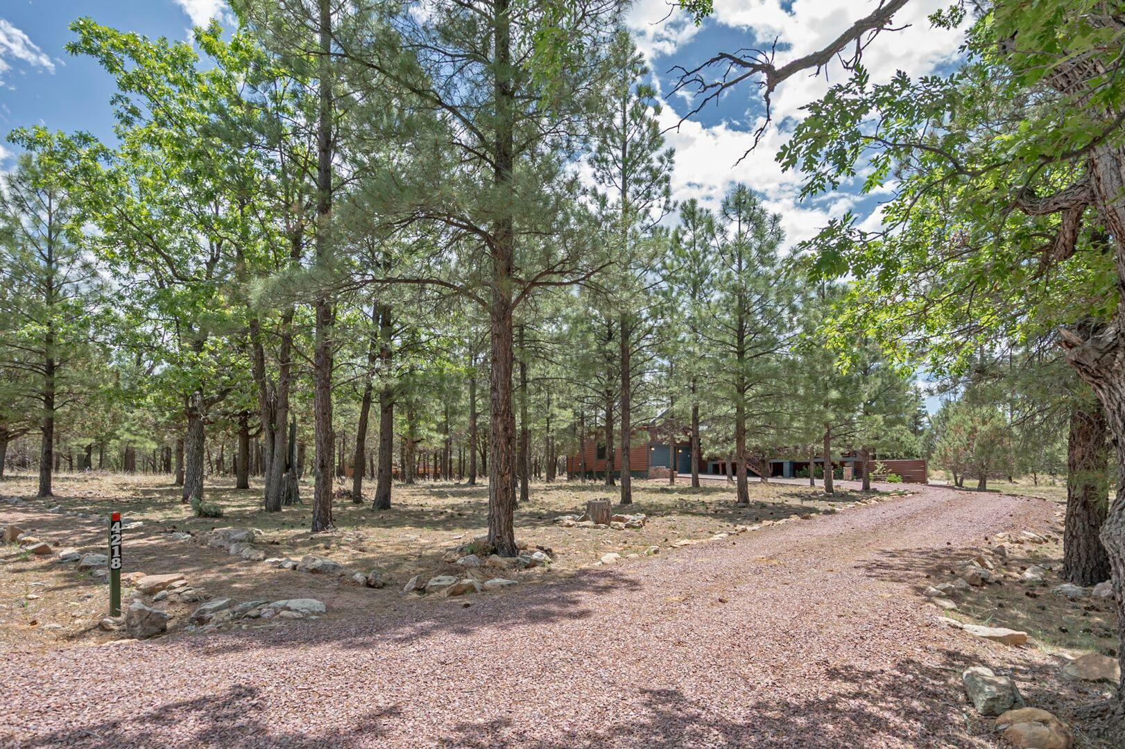 Property Photo: 4218 Stargazer Drive AZ 86024