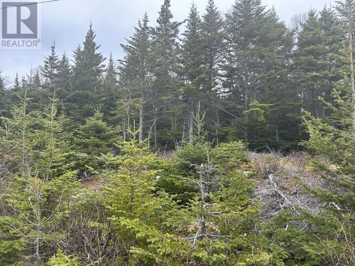 Property Photo:  Lot # 04 Quarry Road  NL A0C 1G0 
