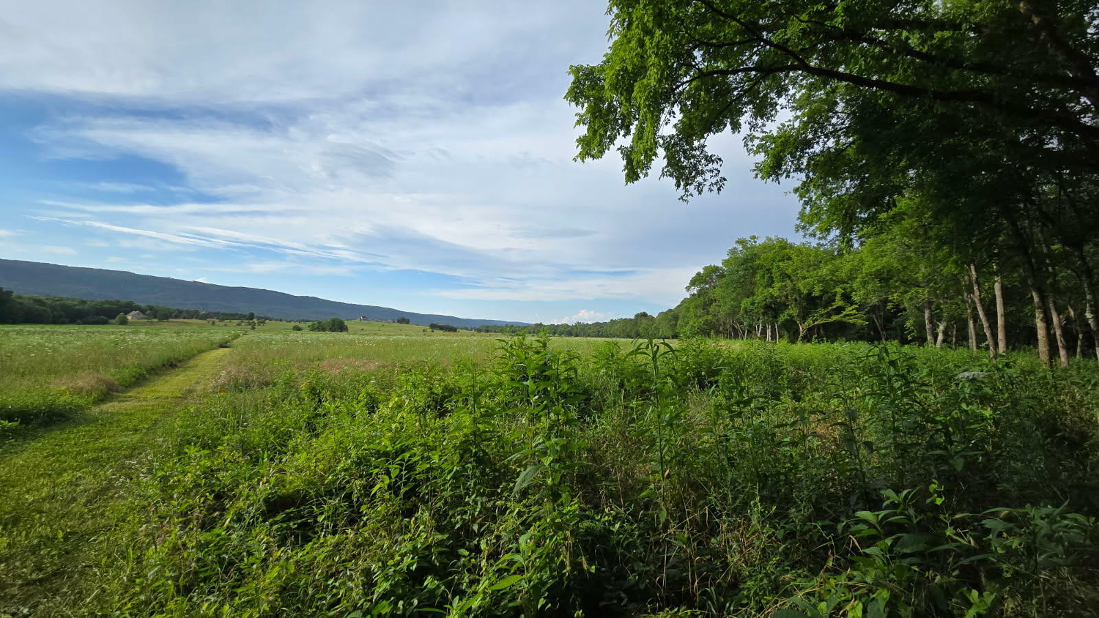 Property Photo: 123 River Ridge Dr TN 37327