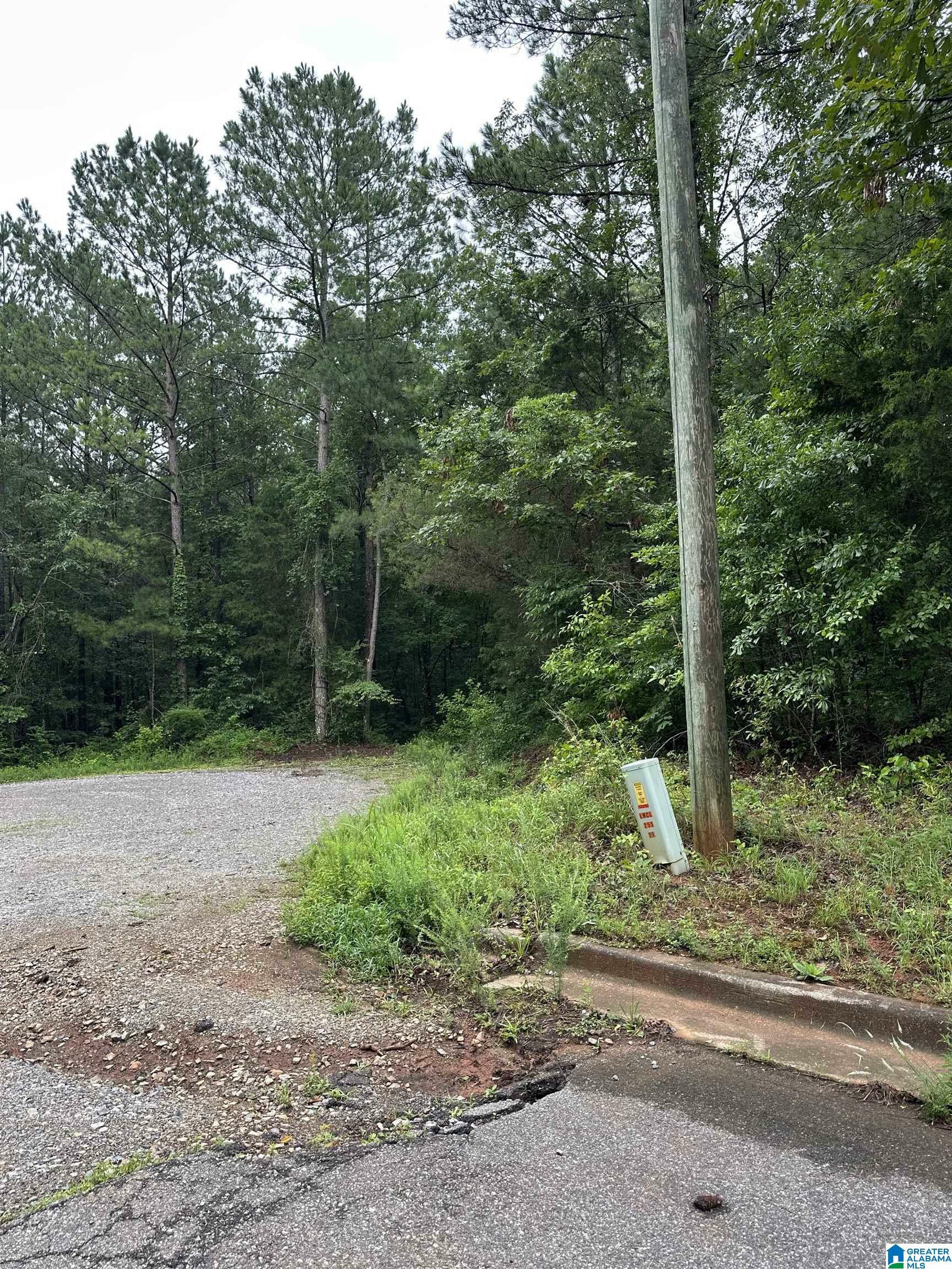 Property Photo: 0 Stonegate Circle None AL 35096