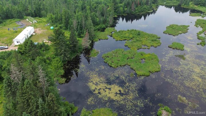 Property Photo:  9535 Walstroms Road  MI 49879 