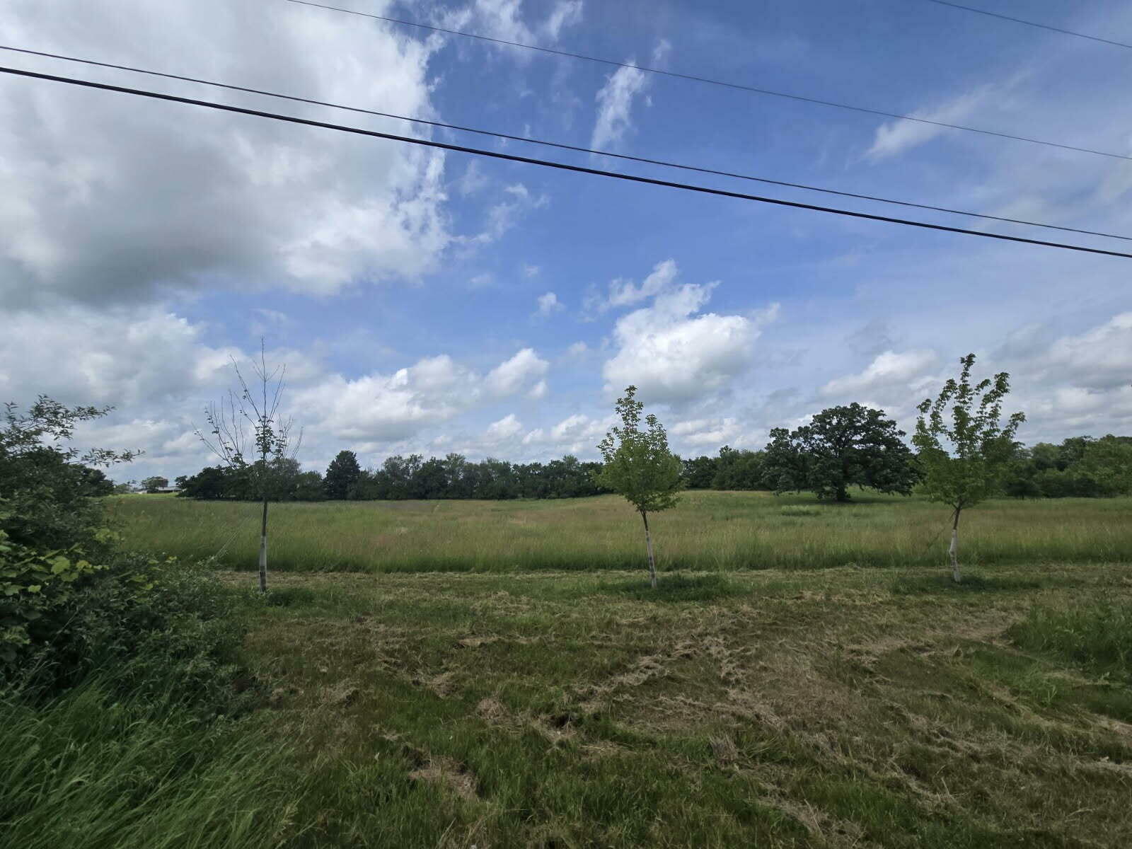 0 Walkowe Lane  Manchester MI 48158 photo