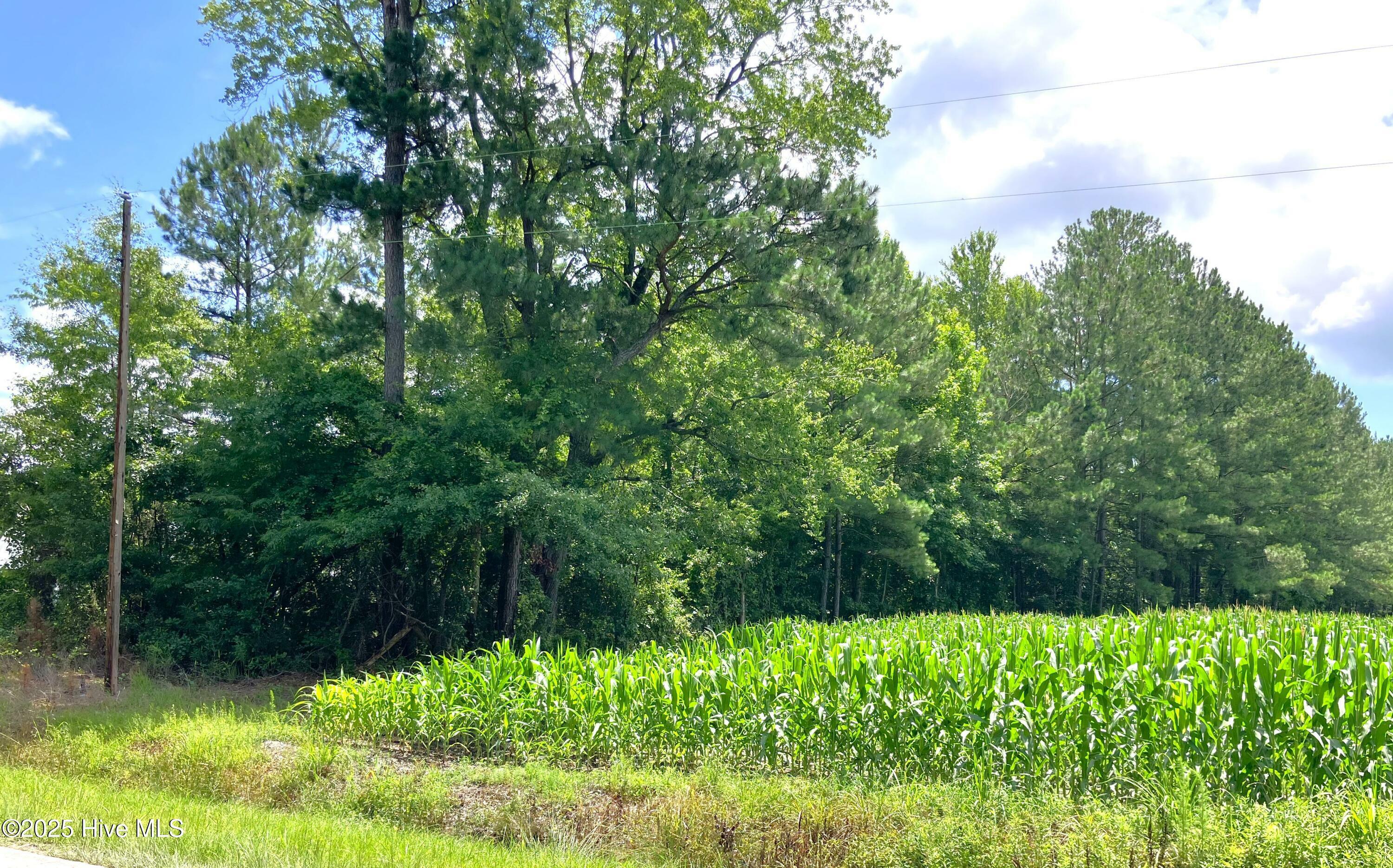 Property Photo: 294 Springhill Road NC 28555