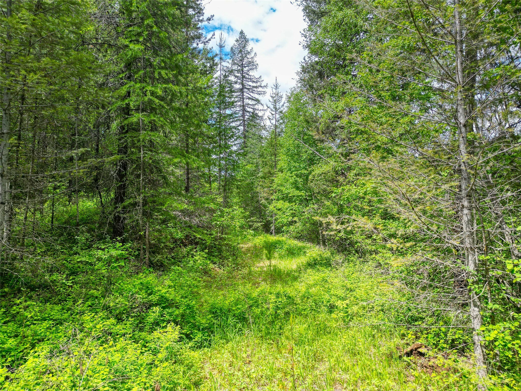 Property Photo: 11315 US Highway 2 E MT 59936