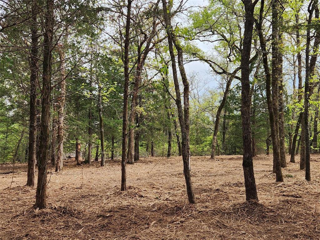 Property Photo: Lot 465 Cr-4710 TX 75770