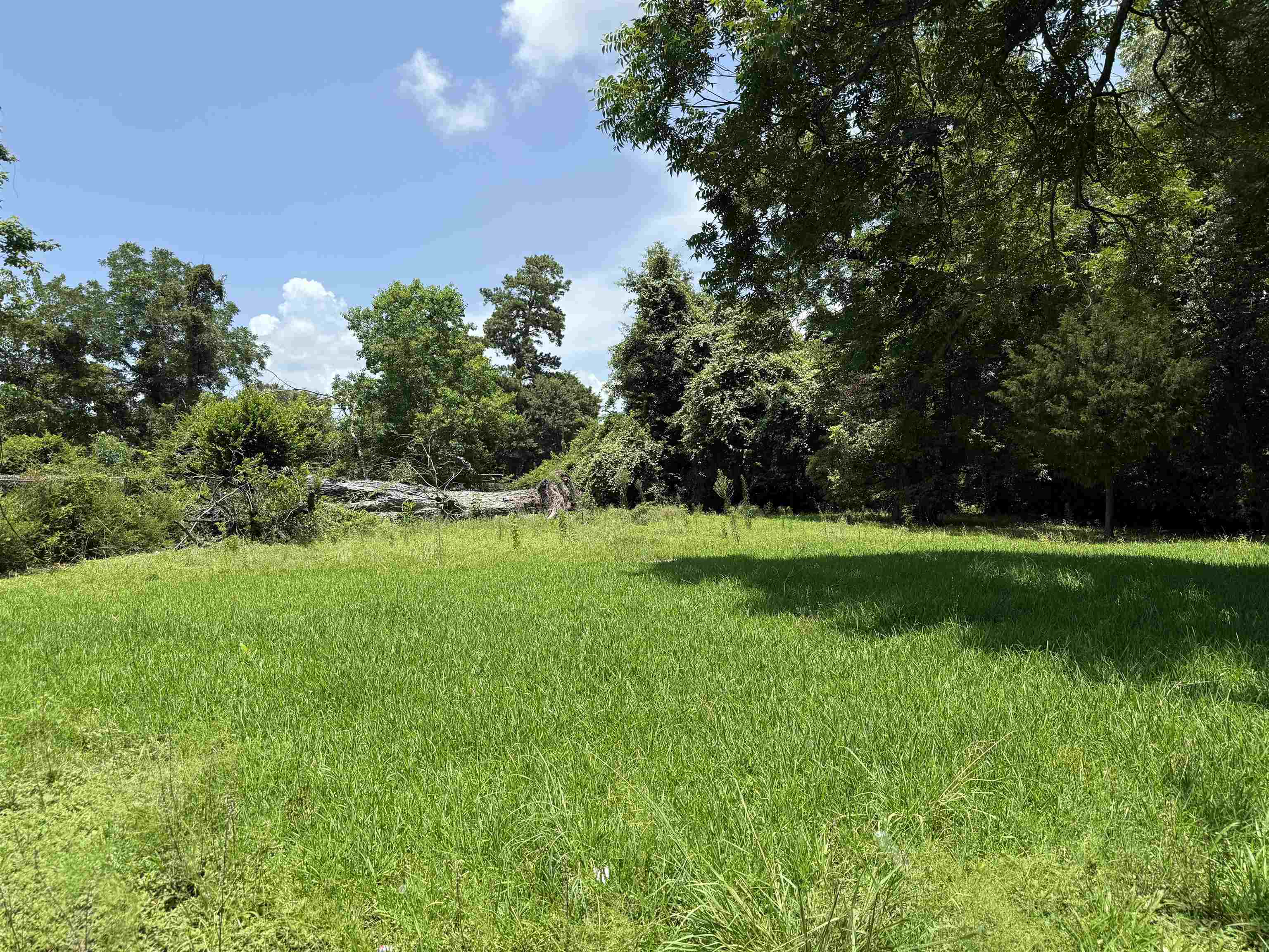 Property Photo: 1730 Barkins Ave TX 77630