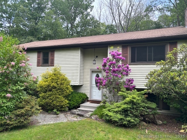 Property Photo:  56 Cedar Swamp Road  CT 06268 
