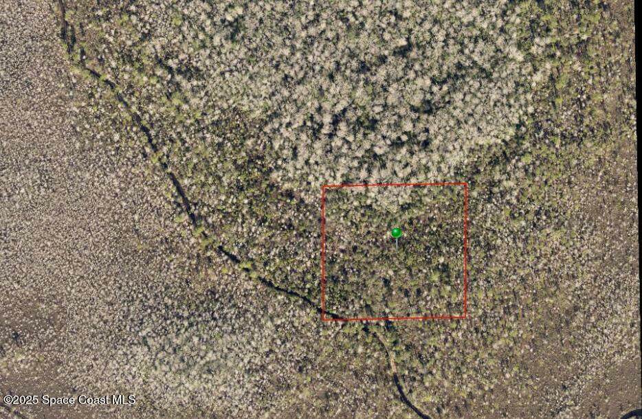 Property Photo: X No Street FL 32724
