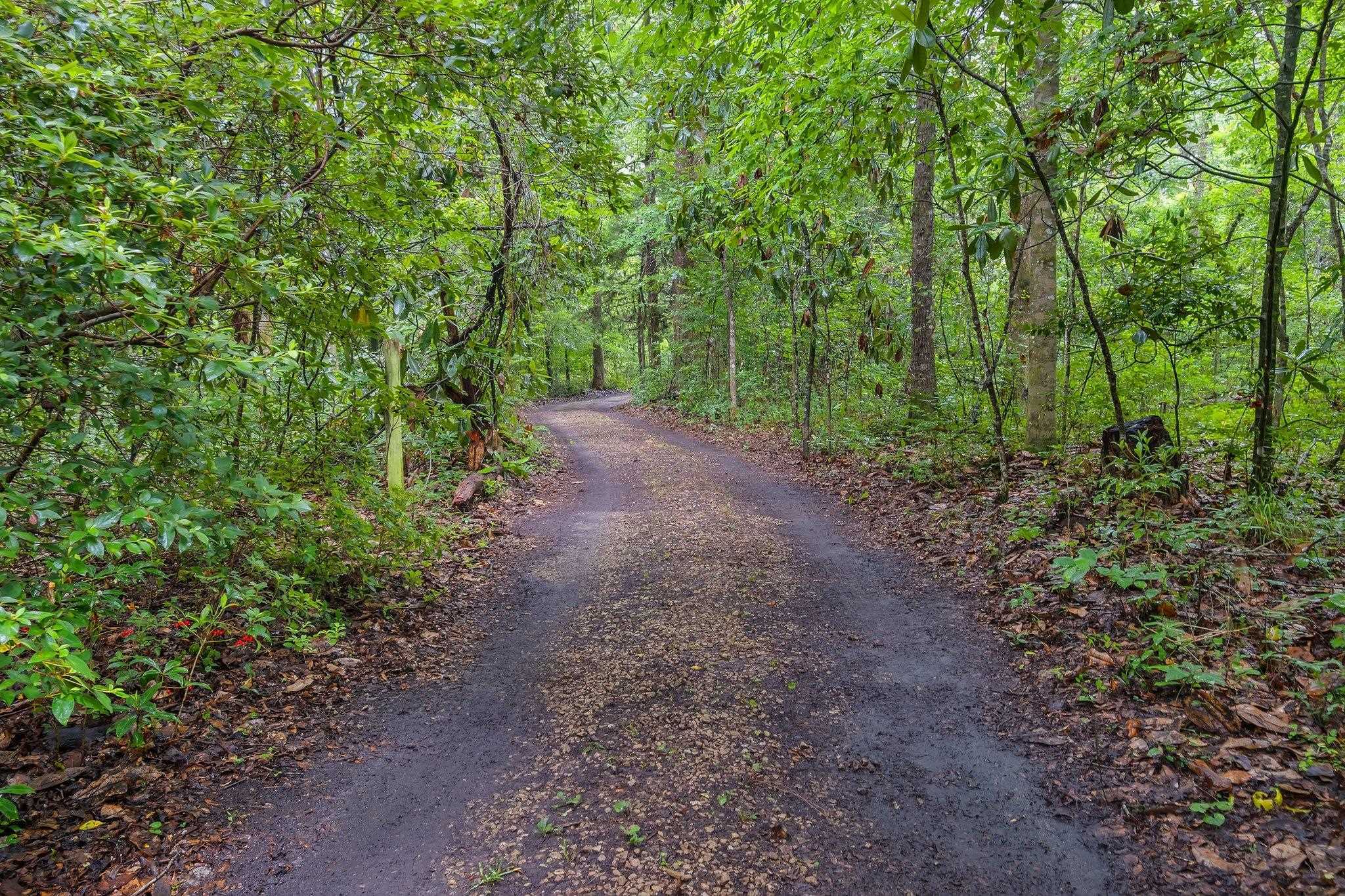 Property Photo: 3700 Honey Bee Point FL 32309