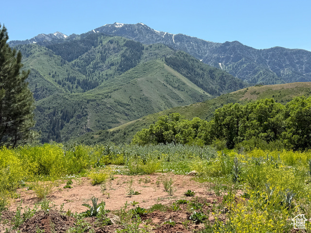 Property Photo:  6197 Strawberry Creek Rd 202  UT 84050 