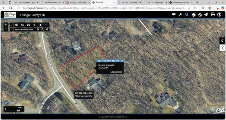 Lot 413 Michaywe Drive  Gaylord MI 49735 photo
