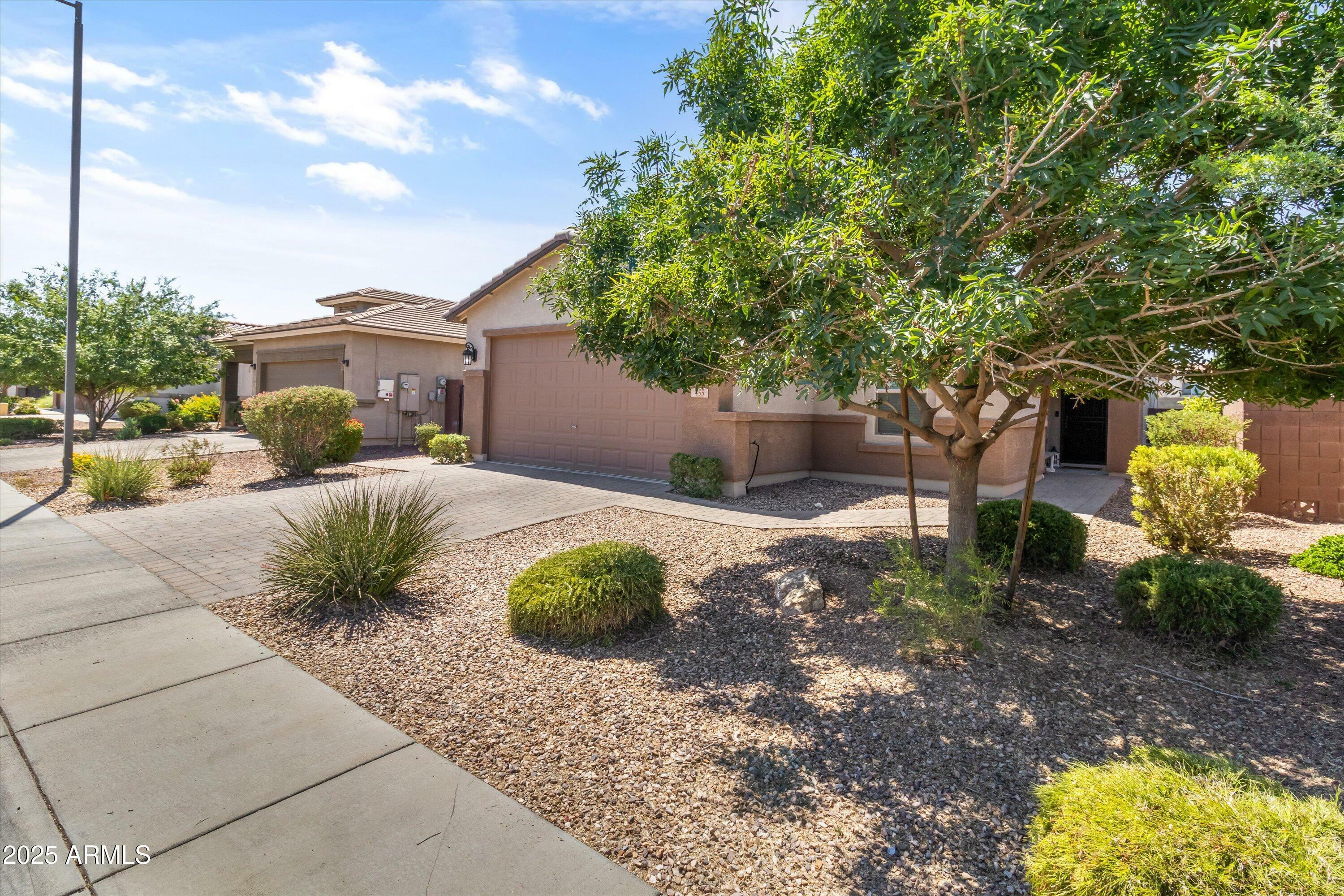 Property Photo:  455 W Evergreen Pear Avenue  AZ 85140 