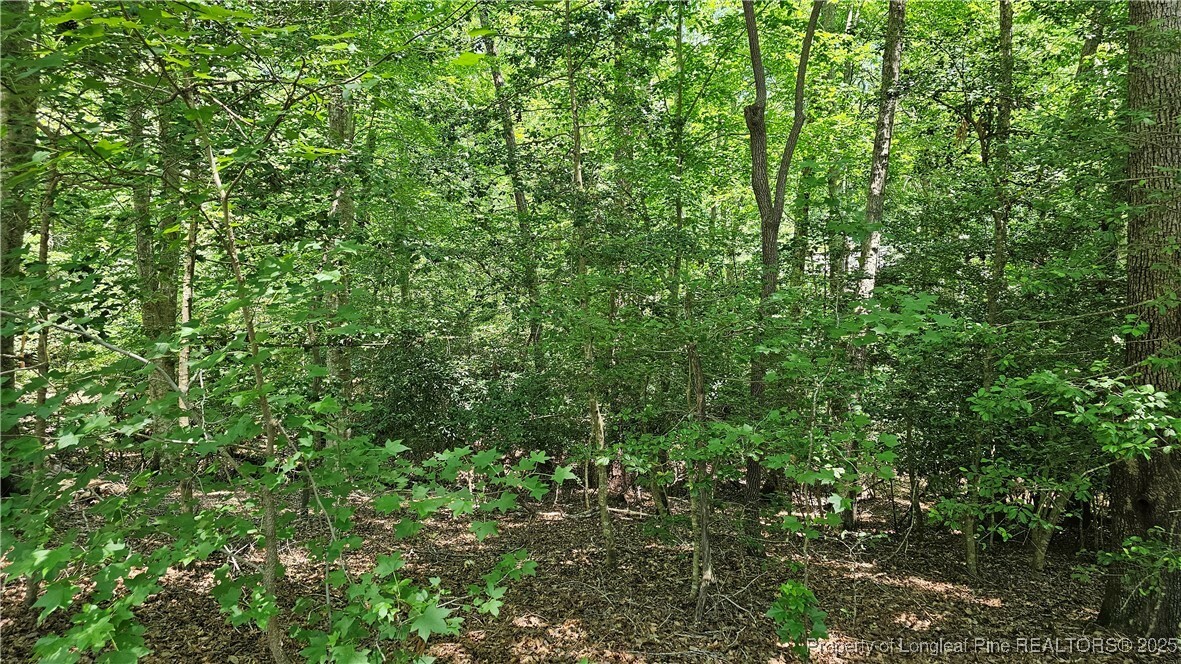 Property Photo: 5029 Cardinal Circle NC 27332