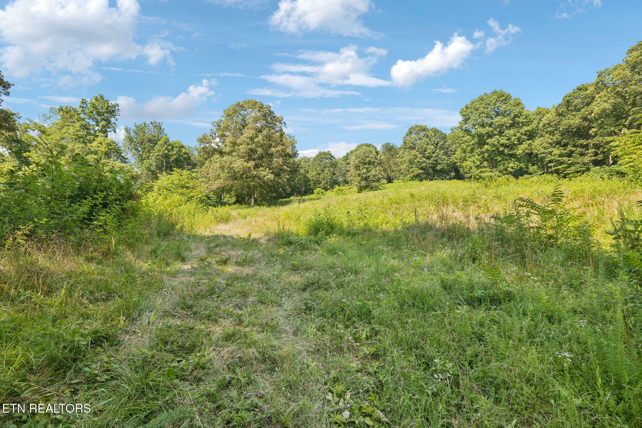 Property Photo: 378 Johnson Hollow Rd TN 37866