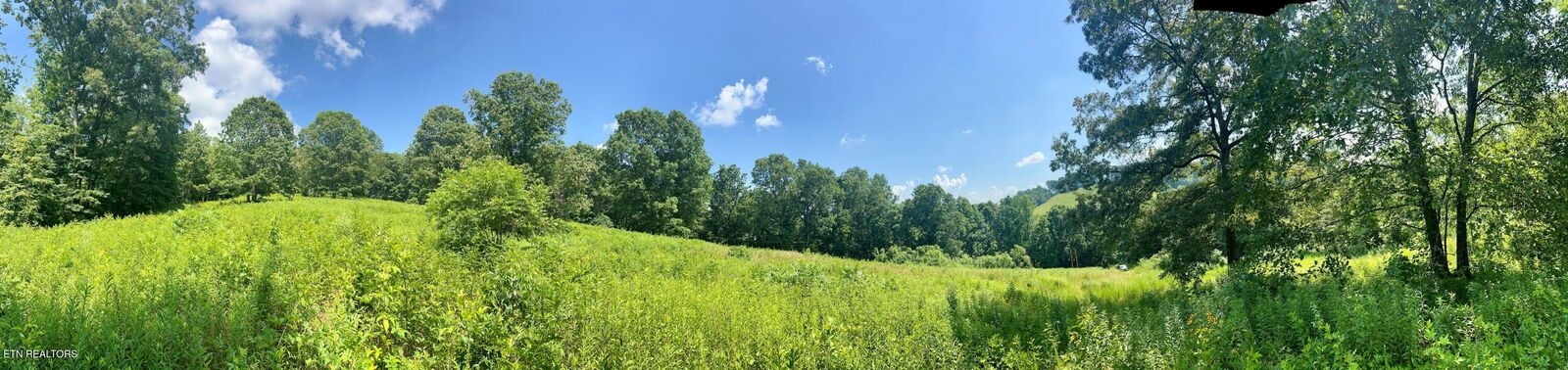 Property Photo:  378 Johnson Hollow Rd  TN 37866 