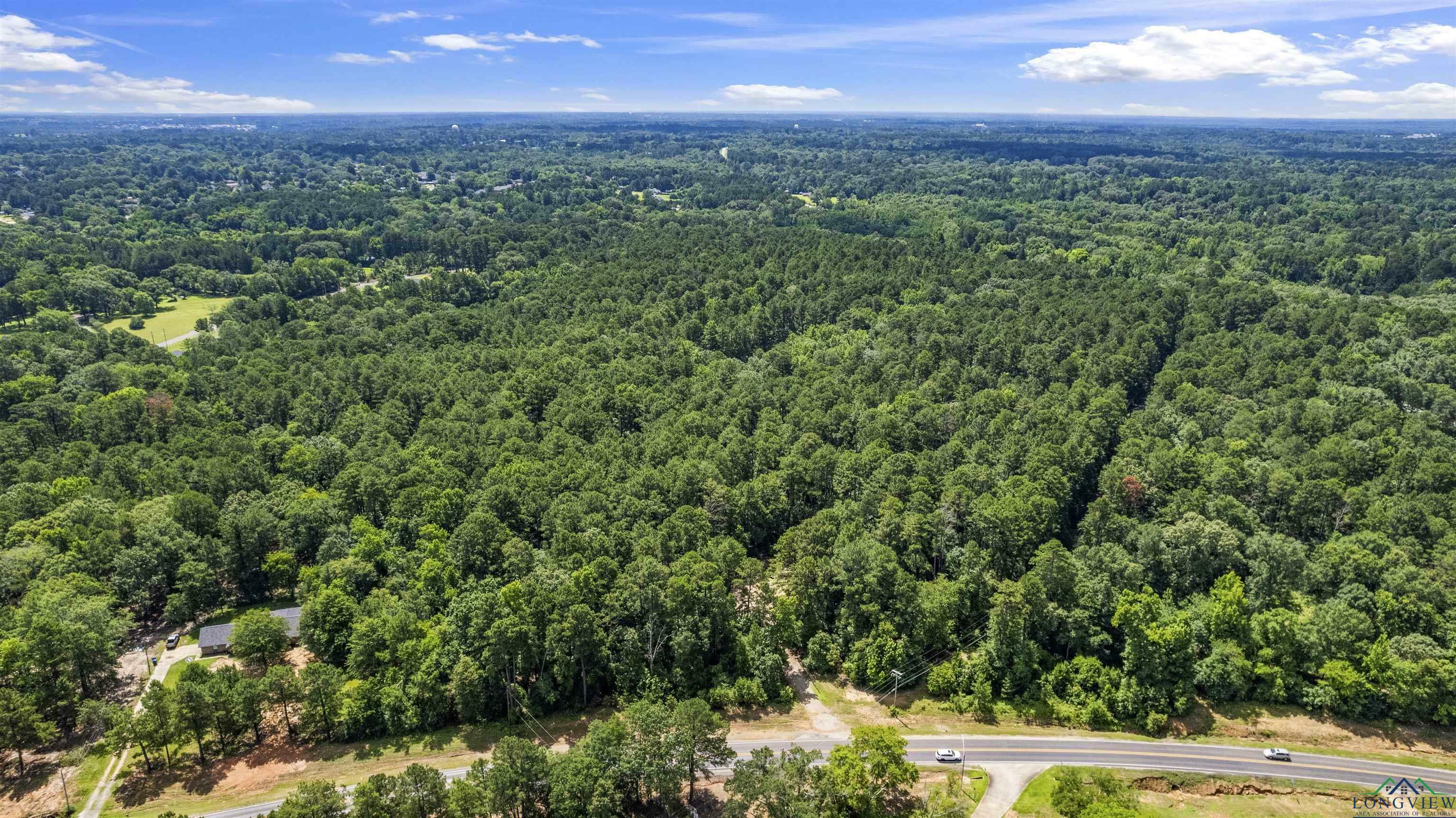 Property Photo: Tbd Fm 1845 George Richey And Pine Tree Road TX 75604
