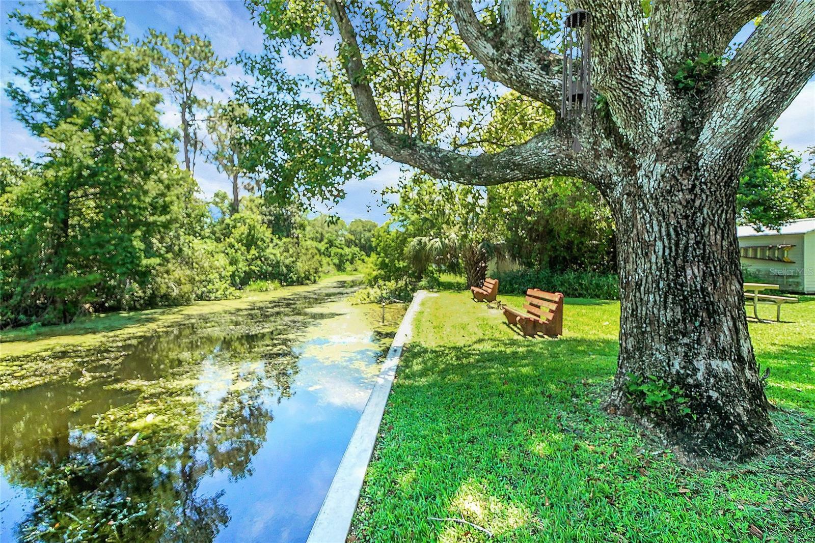 Property Photo: 5319 Eagles Nest Road FL 34731