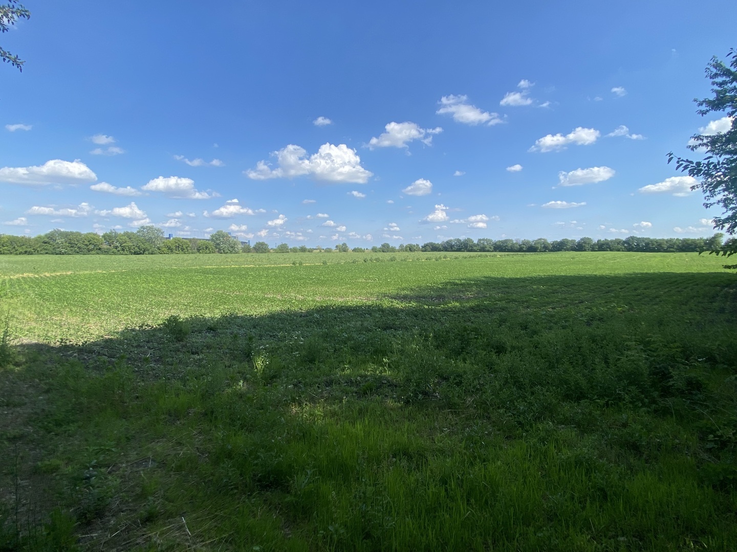 240 Zipf Road  Joliet IL 60433 photo
