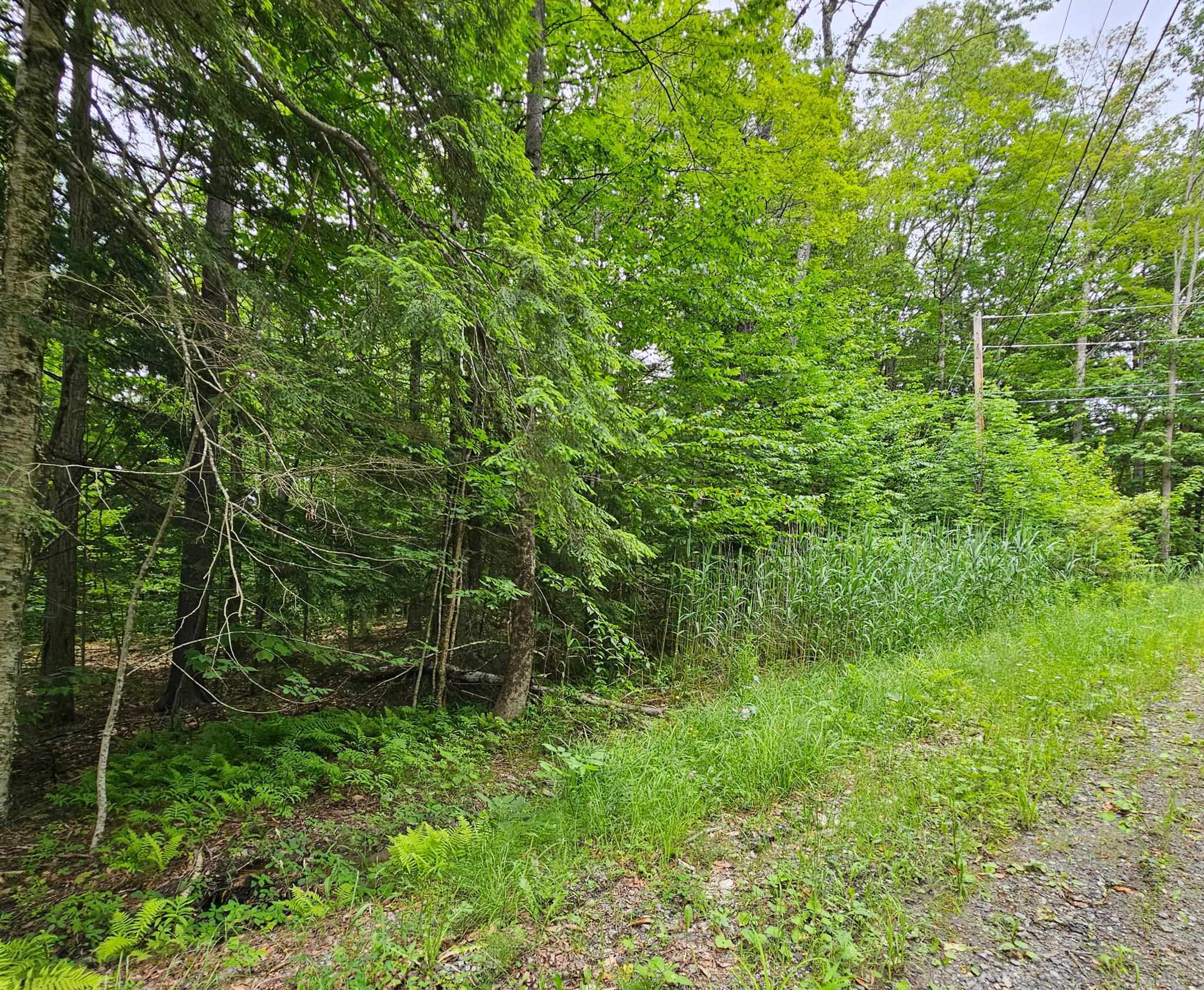 Property Photo: 00 Susan Lynn Lane VT 05355
