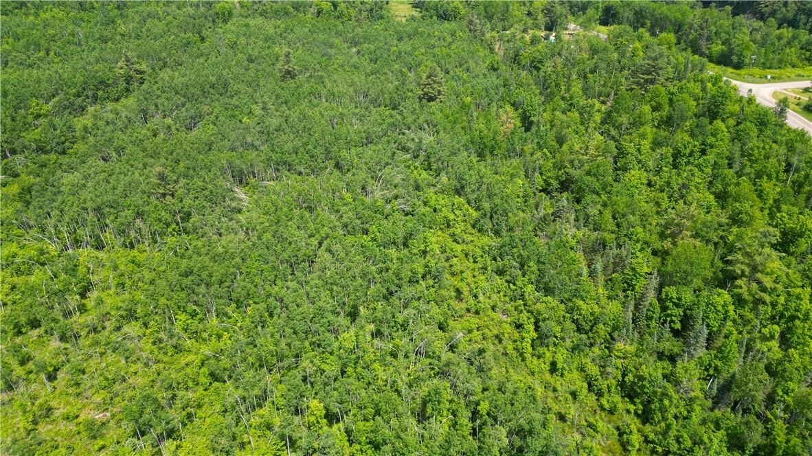Property Photo:  80 Acres Off Of Hwy 40  WI 54867 