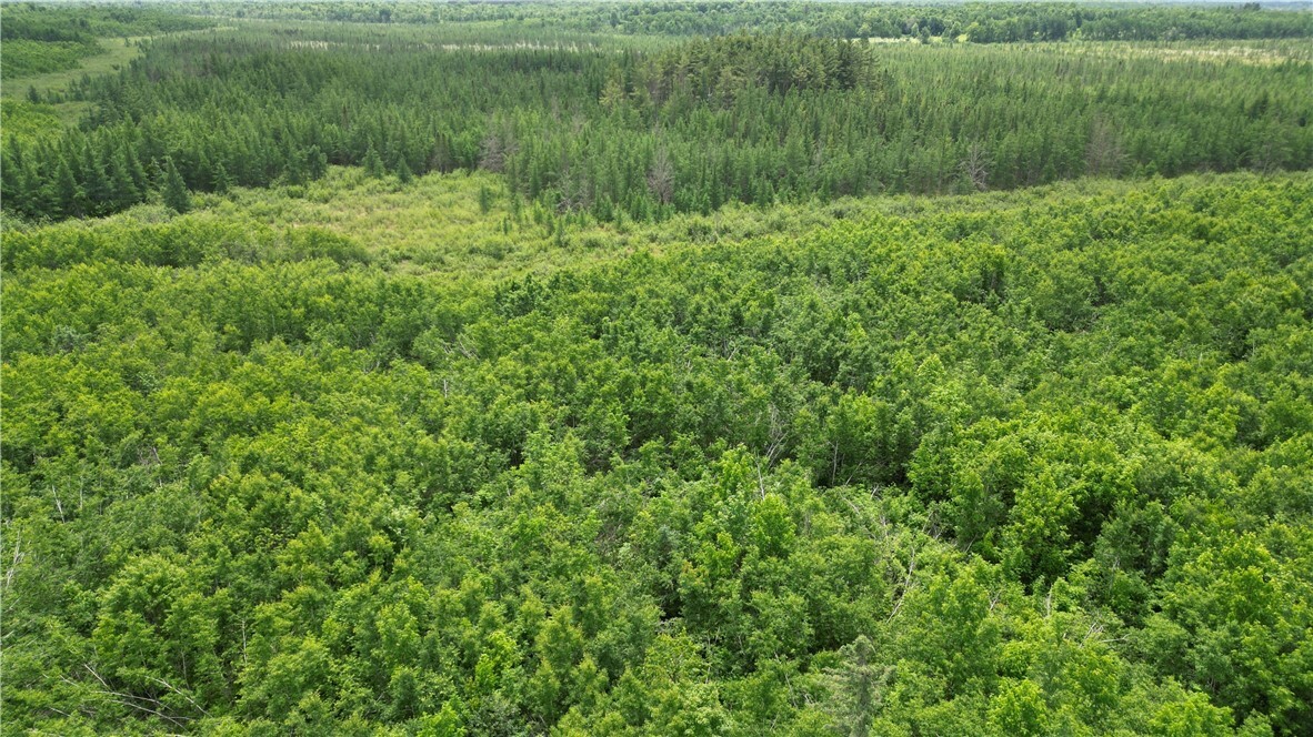 Property Photo: 80 Acres Off Of Hwy 40 WI 54867