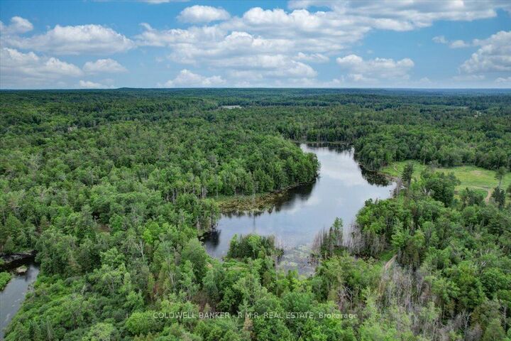 N/A Tully'S Road  Trent Lakes ON K0M 1A0 photo