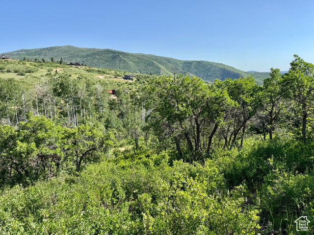 Property Photo:  218 Bear Tooth Ridge Rd W 26-A  UT 84017 