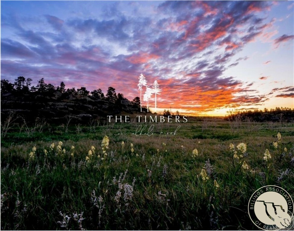 Property Photo: Lot 5 Timbers Boulevard S MT 59105