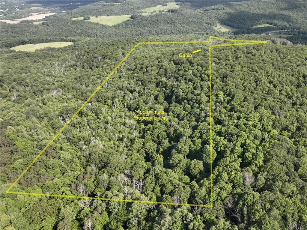 Property Photo: 0 Park Hill Road NY 14838