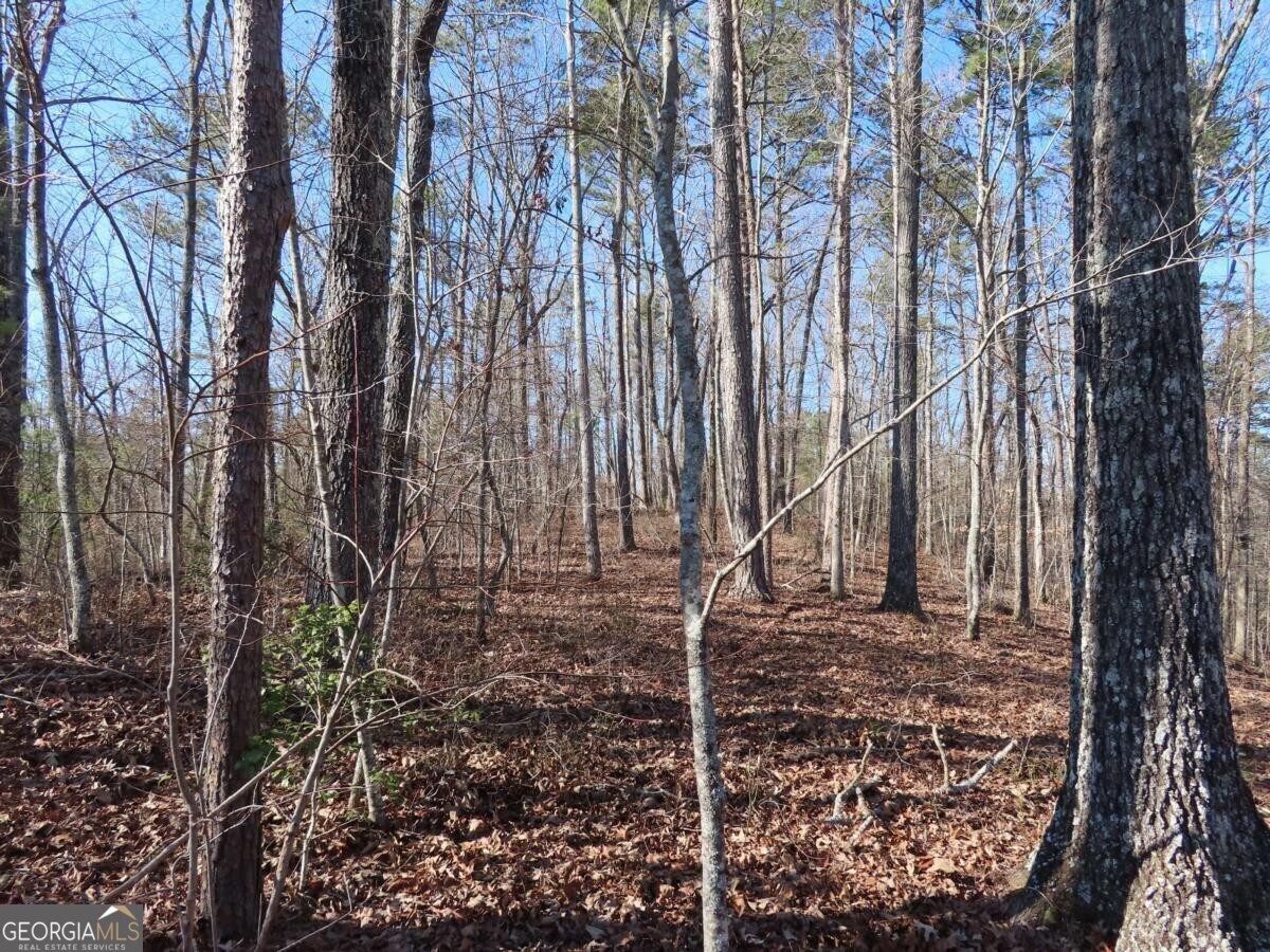 Property Photo: Lot 1906 Finale Street GA 30175