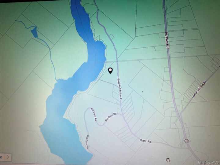 131 Old Plank Road  Sparrowbush NY 12780 photo