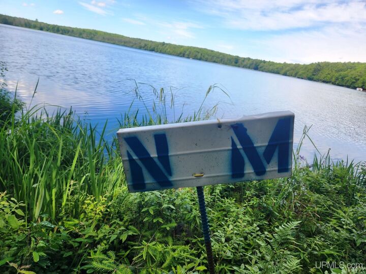 Property Photo:  Tbd Wildwood Lake Drive  MI 49935 