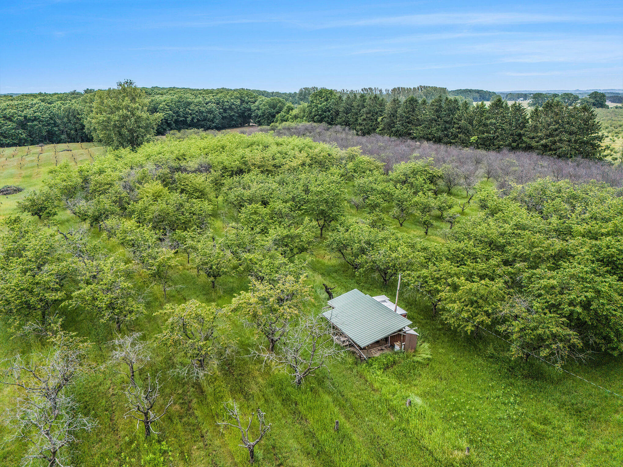 Property Photo: 7 Acres W Tyler Road MI 49436