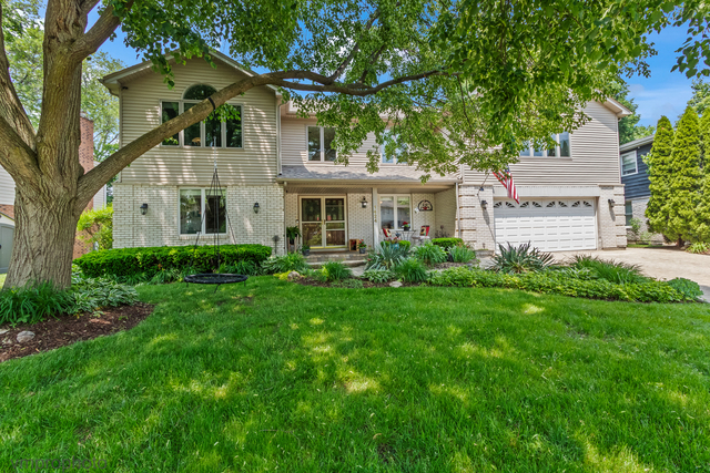 1424 E Jonquil Circle  Arlington Heights IL 60004 photo