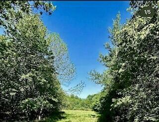Property Photo: Lot 006-3 Dole Hill Road ME 04429