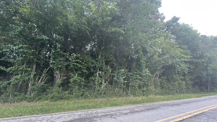 Property Photo: 0 Hurricane Road TN 37388