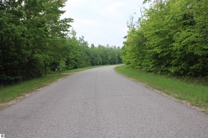Property Photo: Snowridge Trail MI 49730