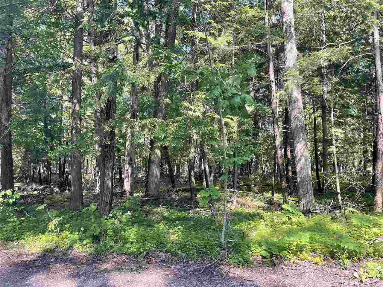 Property Photo: Tbd Bridge MI 49740
