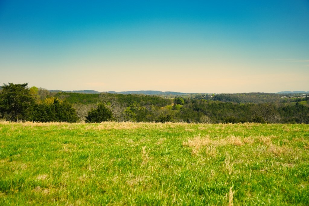 Property Photo:  55 River Run Road  AR 72632 
