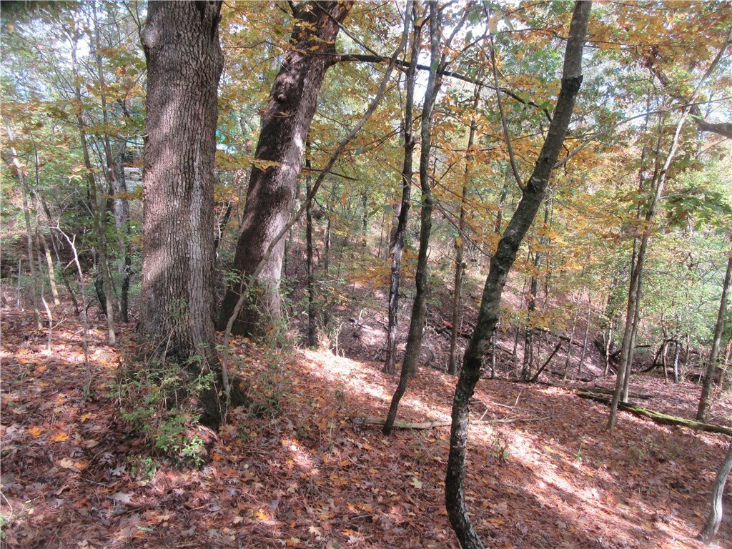 Property Photo:  Paxos Street  AR 72632 