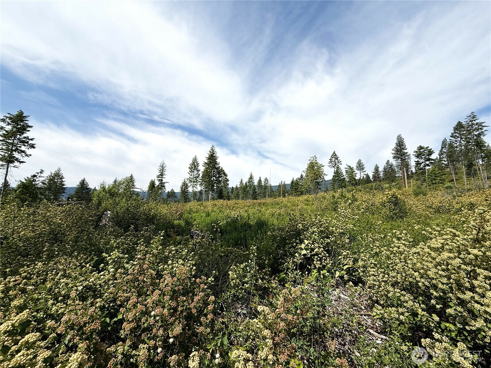 Property Photo: 0 Rockabye Lane WA 99118