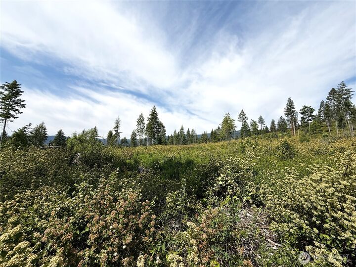 Property Photo:  0  Rockabye Lane  WA 99118 