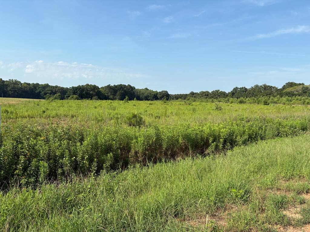 Property Photo: 0 Judge Logue Road AL 36352