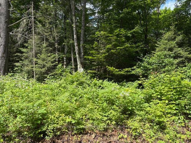 Property Photo:  00 Forest Lake Road  ON P0A 1Z0 