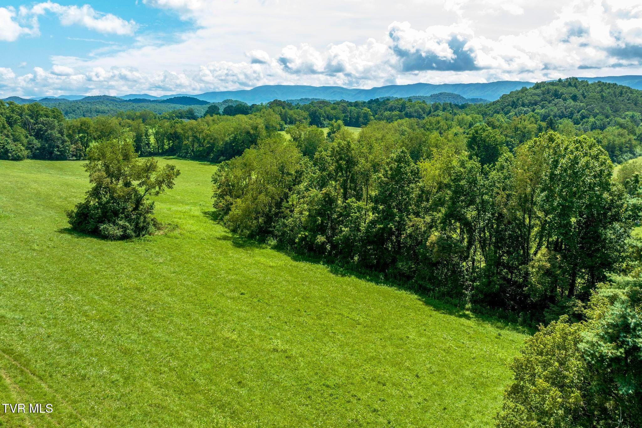 Tbd Ollis Estates Pvt Drive  Bristol TN 37620 photo
