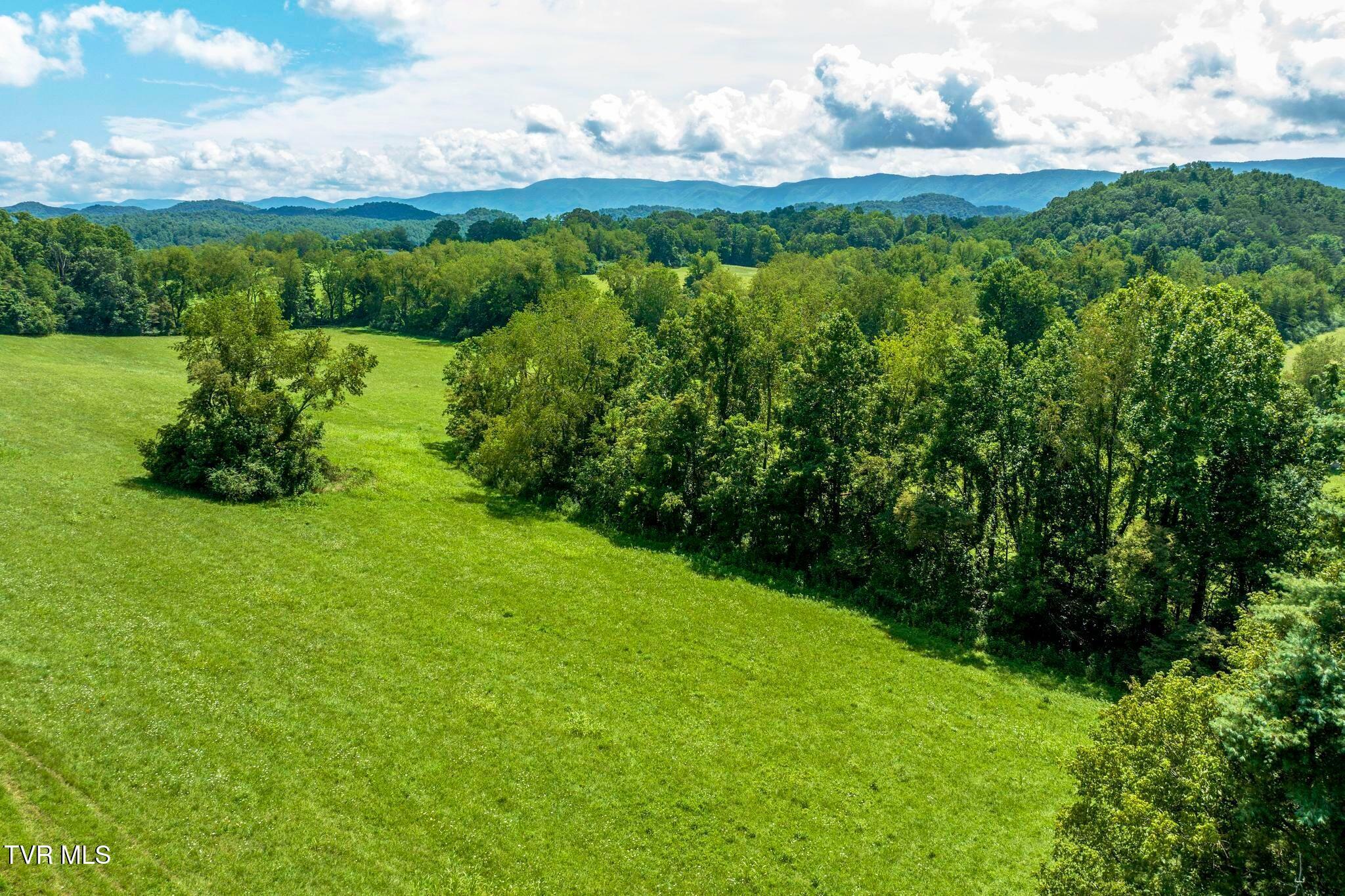 Property Photo: Tbd Ollis Estates Pvt Drive TN 37620