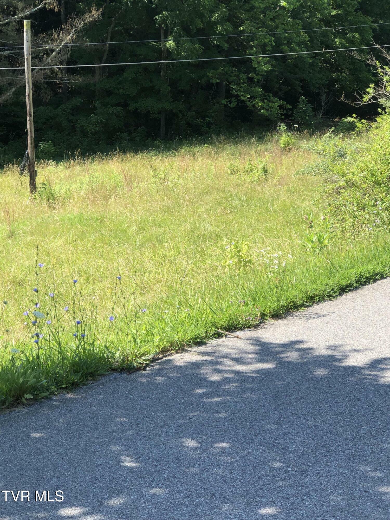 Property Photo: 463 Gottland Shoals Road TN 37617