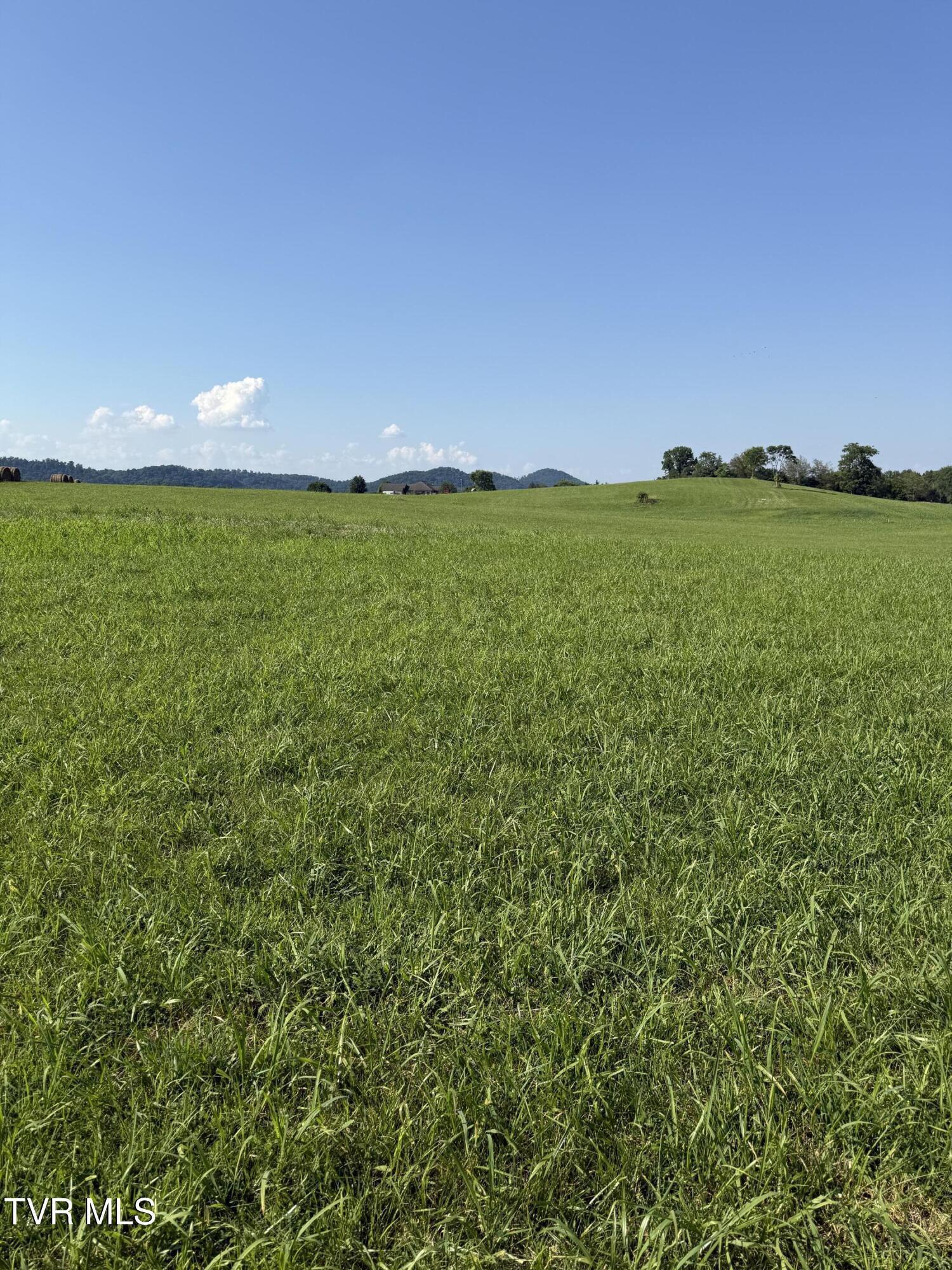 Property Photo: Lot 7 Mahoney Property, Hwy 81 N TN 37659