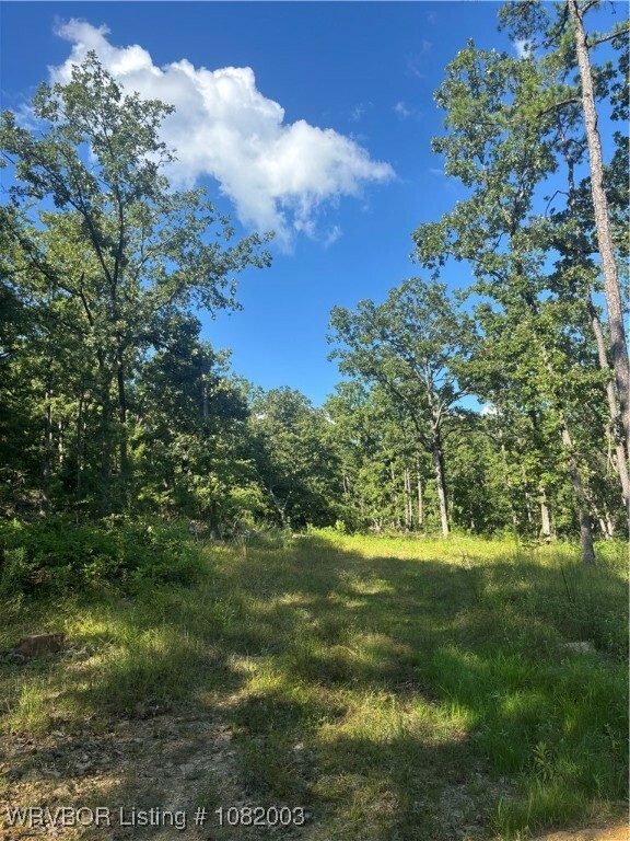 Property Photo:  Tbd NE 1145th  OK 74563 